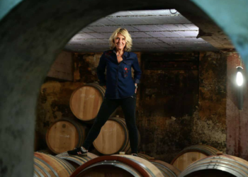 Châteauneuf-du-Pape : une année blanche pour le domaine Saint-Préfert