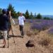 Le Parc du Luberon s’affiche sur France Télévisions