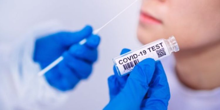 Mazan : des tests antigéniques salle de l’Allée dès le 12 janvier