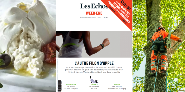 Deux entreprises vauclusiennes championnes françaises de la croissance