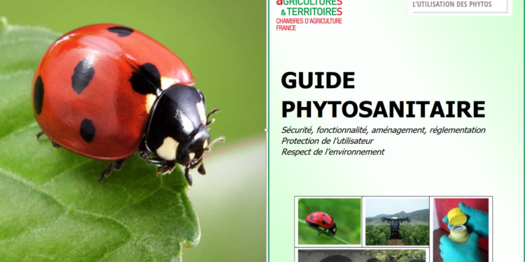 Agriculture : le guide phytosanitaire 2021 vient de paraître