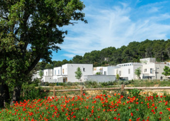 Grand Delta Habitat, vers le logement social et au-delà