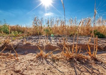 État de catastrophe naturelle reconnu pour Aubignan : un délai très court pour faire sa déclaration
