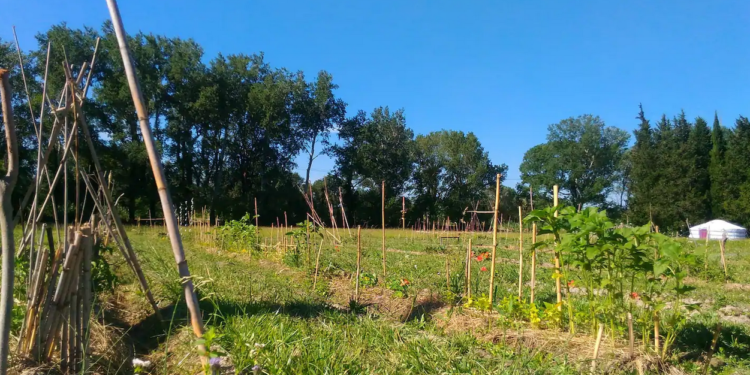 Ile de la Barthelasse à Avignon, Bienvenue à la micro-ferme urbaine & biologique
