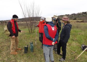 Parc naturel régional du Luberon, plantation de 30 pistachiers
