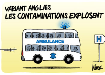 Variant anglais vu par Wingz pour l’Echo du Mardi