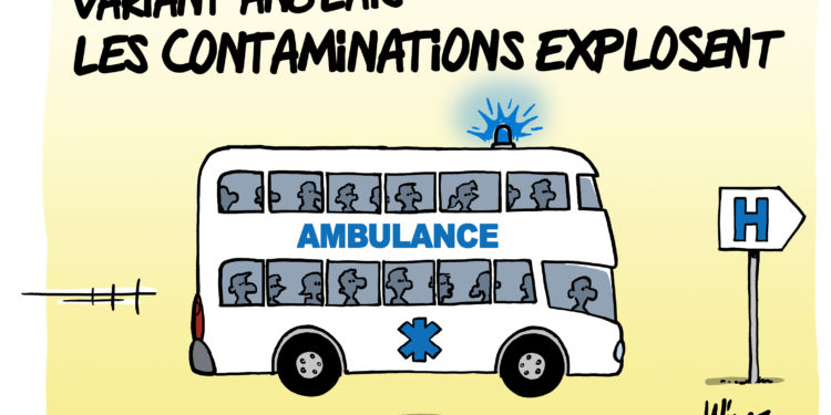 Variant anglais vu par Wingz pour l’Echo du Mardi