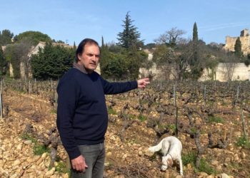 La Safer au secours de la trésorerie des exploitants agricoles