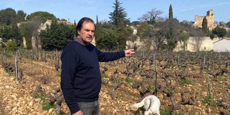 La Safer au secours de la trésorerie des exploitants agricoles