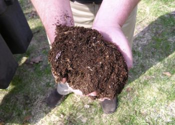 La Cove, Tous au compost !