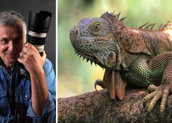 Eric Guilloret : ma vie a changé lorsque j’ai rencontré le Vaucluse !