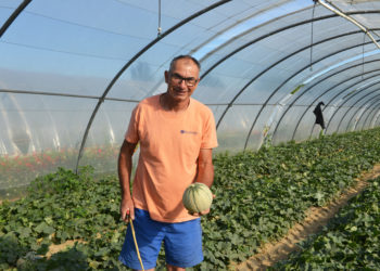 (Vidéo) Pernes-les-Fontaines, un producteur de melon mis à l’honneur sur les grilles de l’Assemblée Nationale.