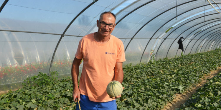 (Vidéo) Pernes-les-Fontaines, un producteur de melon mis à l’honneur sur les grilles de l’Assemblée Nationale.