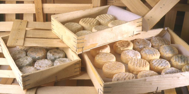 Le picodon fait sa promo