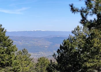 Forêts en Luberon : on prend (presque) les mêmes et on recommence ?