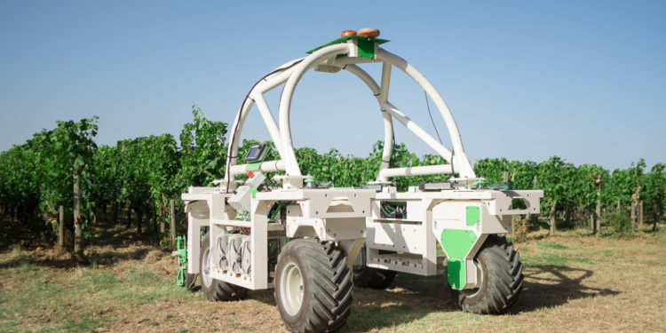 (Vidéo) Bédarrides : les vignerons testent le robot viticole autonome ‘Ted’
