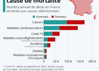 Les principales causes de mortalité en France