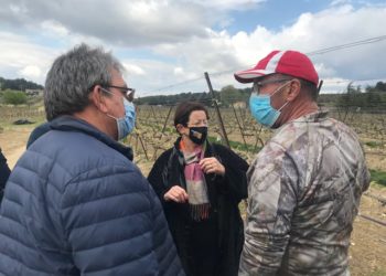 Gel : la Région et la Cove au chevet des agriculteurs