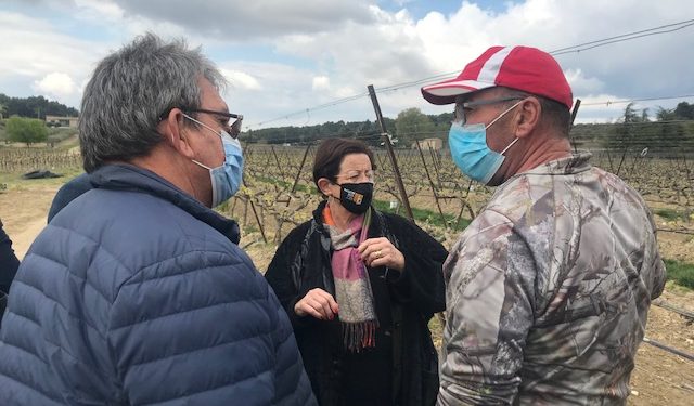 Gel : la Région et la Cove au chevet des agriculteurs