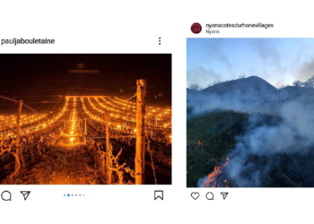 Toutes les AOC de la vallée du Rhône touchées par le gel