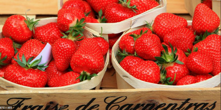 (Vidéo) Vaucluse contre Espagne, quand Julien Aubert ramène sa fraise !