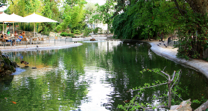 Avril, mai à Avignon, pour profiter du printemps à pied, à vélo, en visites guidées …