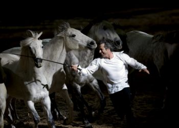 (Vidéo) 36e édition de Cheval passion annulée, Il faudra attendre 2022 !