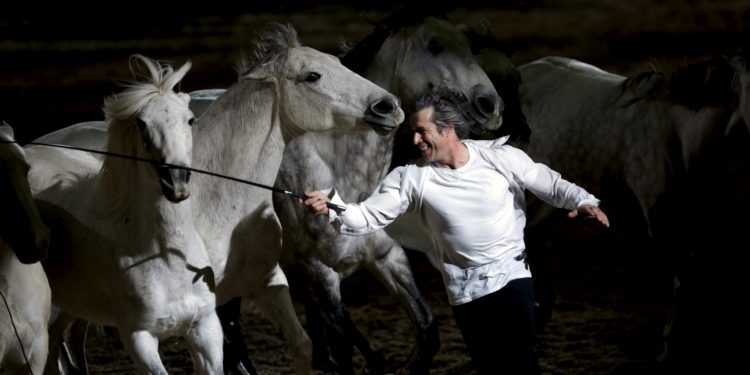 (Vidéo) 36e édition de Cheval passion annulée, Il faudra attendre 2022 !