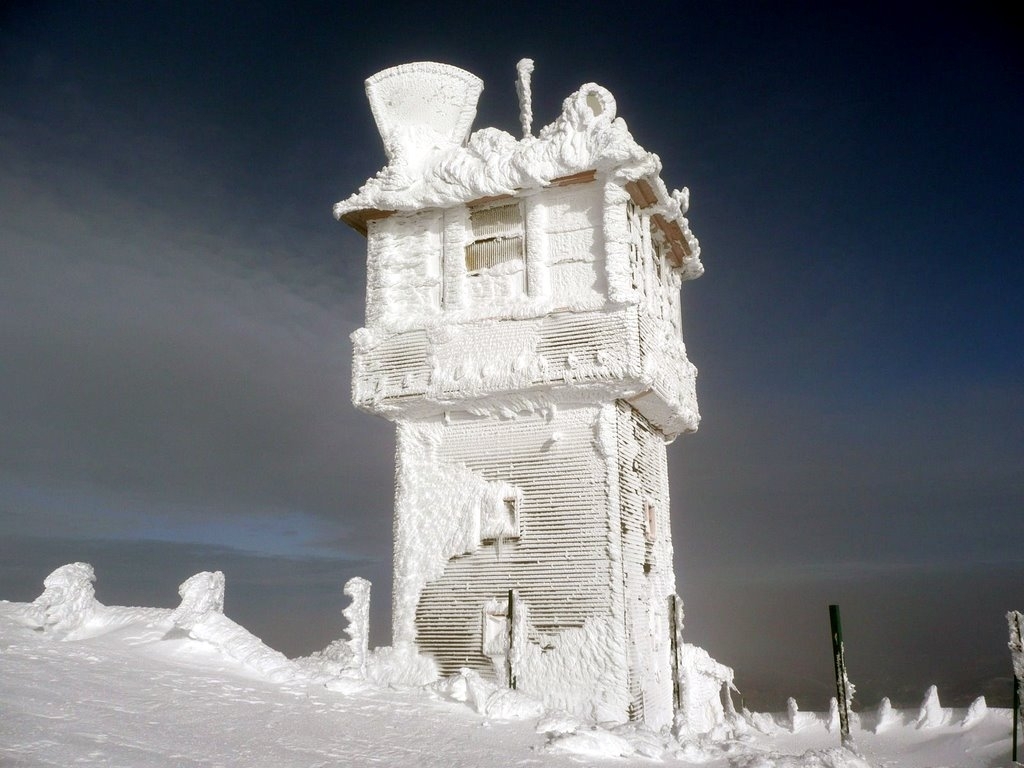 Vague de froid : -30° de ressenti au sommet du Ventoux 