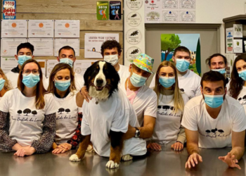 La Bastide du Laval décroche la médaille d’or au concours national d’huiles d’olive AOP