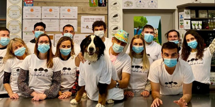 La Bastide du Laval décroche la médaille d’or au concours national d’huiles d’olive AOP