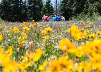 Tourisme : découvrez les visites du mois de mai en Avignon