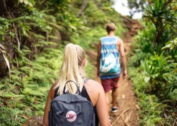 Le Vaucluse mis en lumière dans le magazine Vogue
