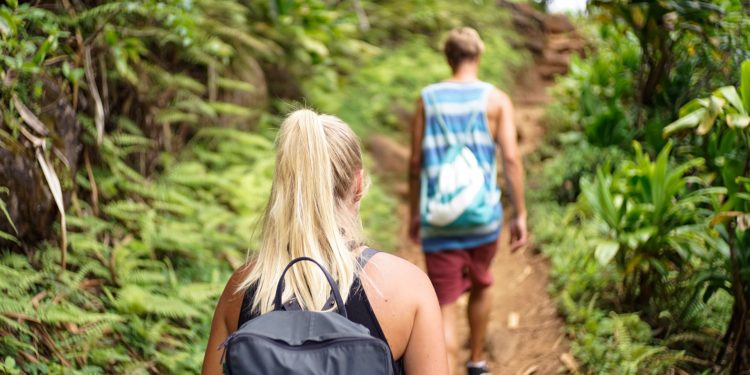 Le Vaucluse mis en lumière dans le magazine Vogue