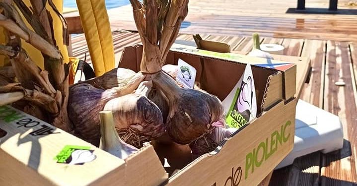 Les producteurs d’ail de Piolenc cuisinent dans un champ
