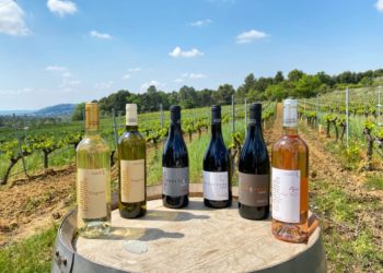 Mormoiron : le domaine des ‘Hautes-Briguières’ décroche un prix d’excellence