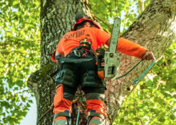 Le Thor : le groupe Serpe acquiert TP Telec