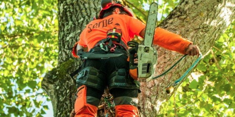 Le Thor : le groupe Serpe acquiert TP Telec