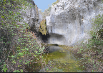 Combe de la Véroncle, Volubilis propose une rando commentée samedi 29 mai à Gordes
