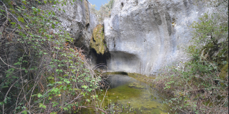 Combe de la Véroncle, Volubilis propose une rando commentée samedi 29 mai à Gordes