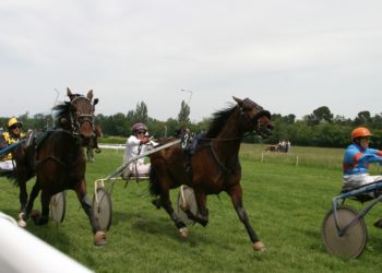 Le Pontet : coup d’envoi de la saison hippique ce dimanche à Roberty