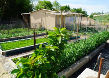Les Carpentrassiens ont désormais leurs jardins