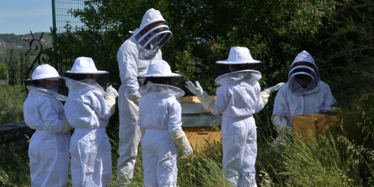 Avignon : des ruches au rocher des Doms