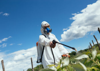 Agriculture : un crédit d’impôt pour sortir du glyphosate