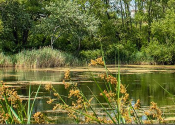 Espaces naturels et sensibles, à la découverte de la nature