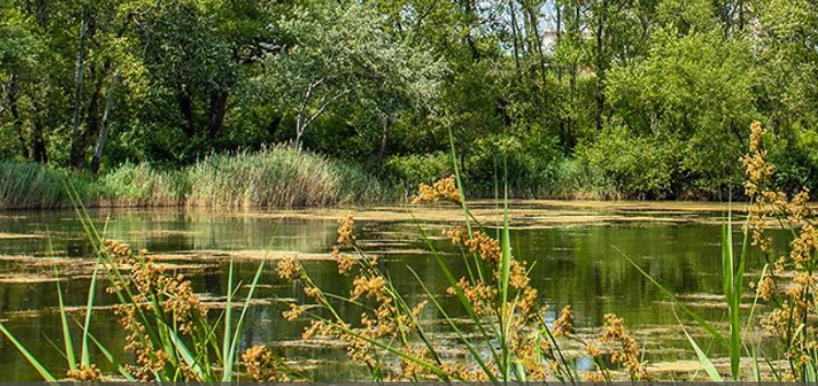 Espaces naturels et sensibles, à la découverte de la nature