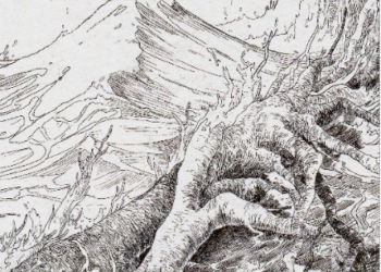 Tour Philippe le Bel à Villeneuve-lez-Avignon, 8e édition de l’estampe contemporaine