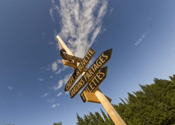 Damien Baillet, de la culture à la ferme de la Barthelasse