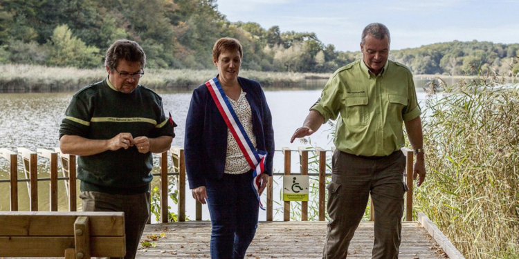 Formation des élus : ‘s’investir dans la gestion de sa forêt communale’