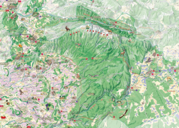 Parc du Mont Ventoux, à nous les belles balades !